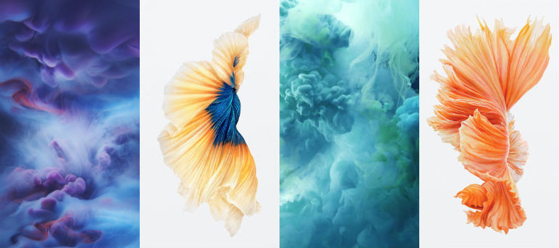 iPhone 6S iOS 9 wallpapers here. Download iPhone 6s official Live 