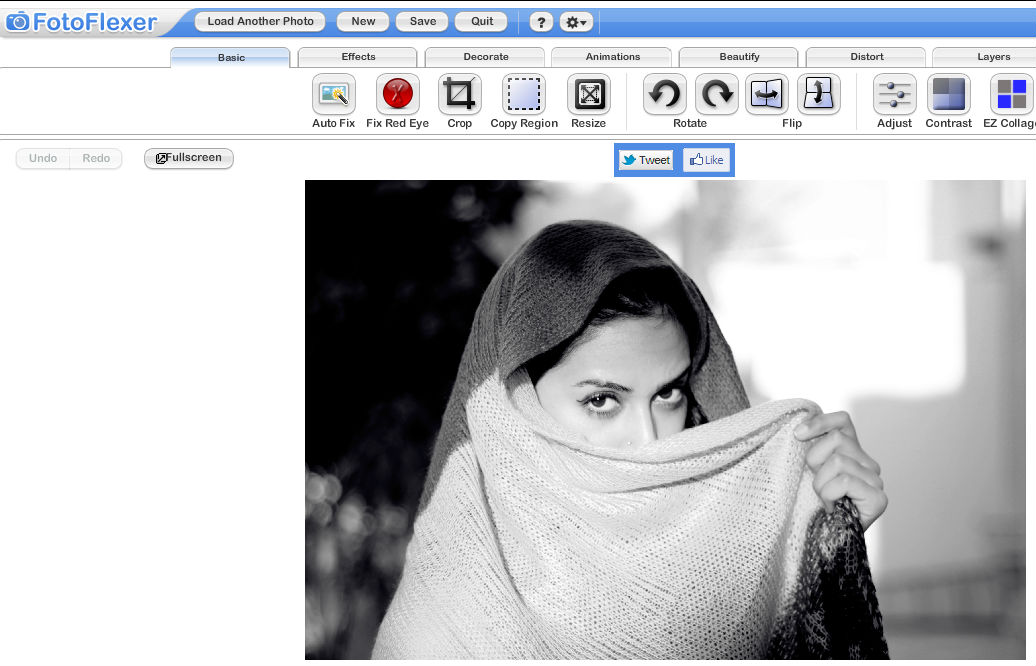 fotoflexer-image editing tool