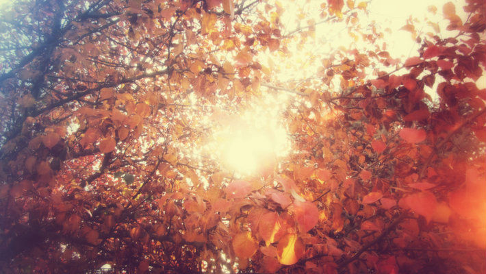 Sunny autumn by joel heaps