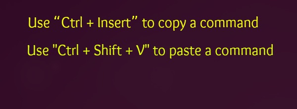 paste into uxterm ubuntu