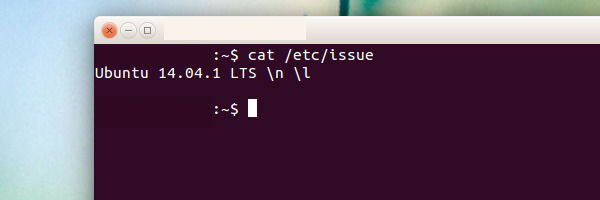 Ubuntu-Version-Screenshot