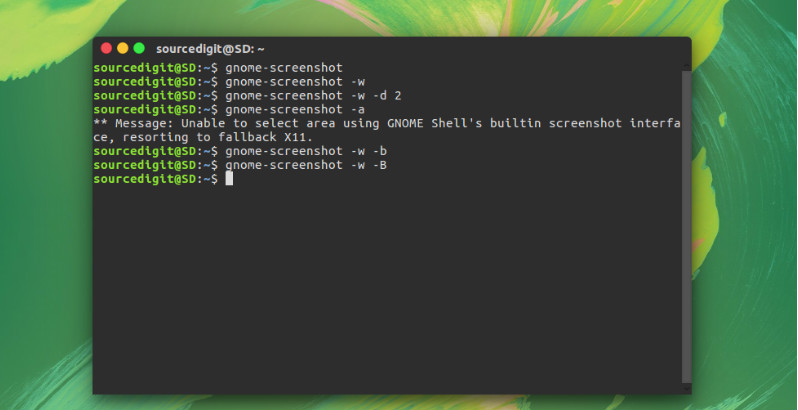 How to Screenshot Ubuntu Terminal