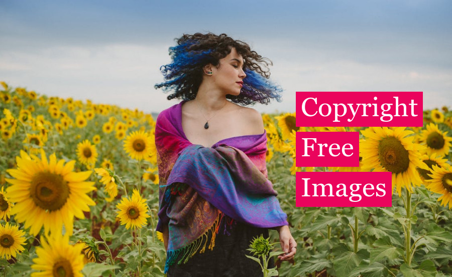 Free Images No Copyright Websites - 19 Amazing Sites with Copyright